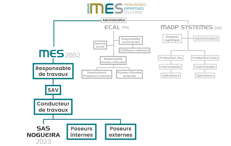 organigramme MES
