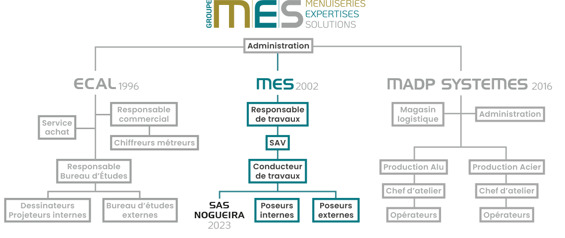 organigramme MES